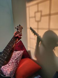 Shadow of woman playing guitar on wall at home