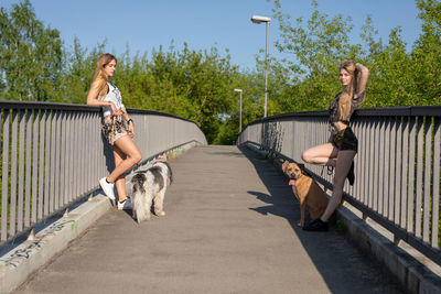 Friends standing by dogs on footbridge during sunny day