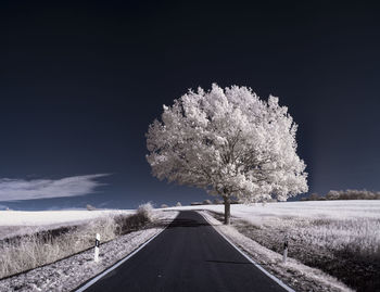 Road amidst trees on field against sky