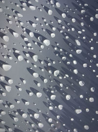 Full frame shot of raindrops on glass