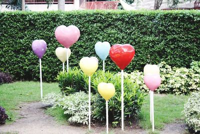 Close-up of flowers growing in field