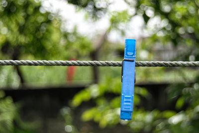 Close-up of blue clothespin hanging on clothesline