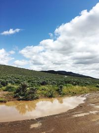 Scenic view of landscape against sky