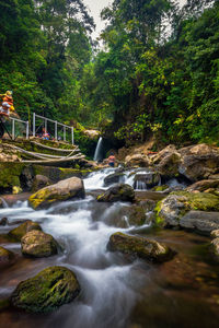 River flowing through rocks in forest