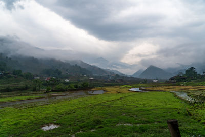 environment