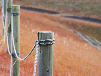 Close-up of wooden post on field