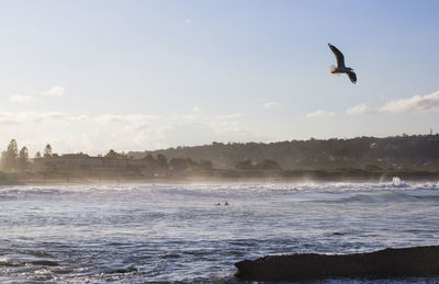 Seagull flying over sea against sky