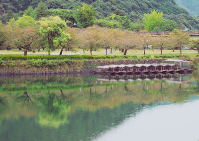 Reflection of trees in lake