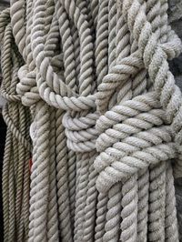 Marinating ropes hanging in an italian port. 