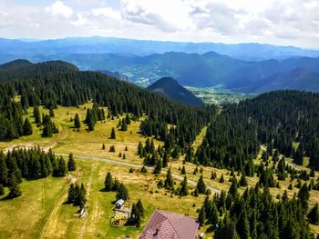 High angle view of trees on landscape against sky