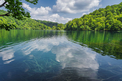 Scenic view of lake by trees against sky