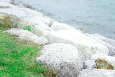 Close-up of rocks on beach