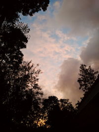 Low angle view of silhouette trees against sky at sunset