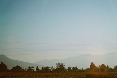 Scenic view of field against clear sky