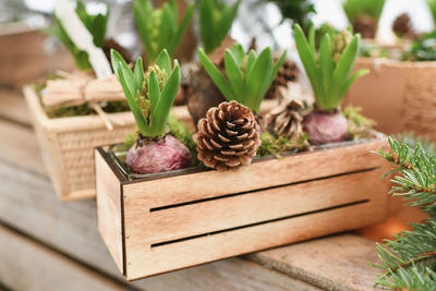 Close-up of pineapple on table