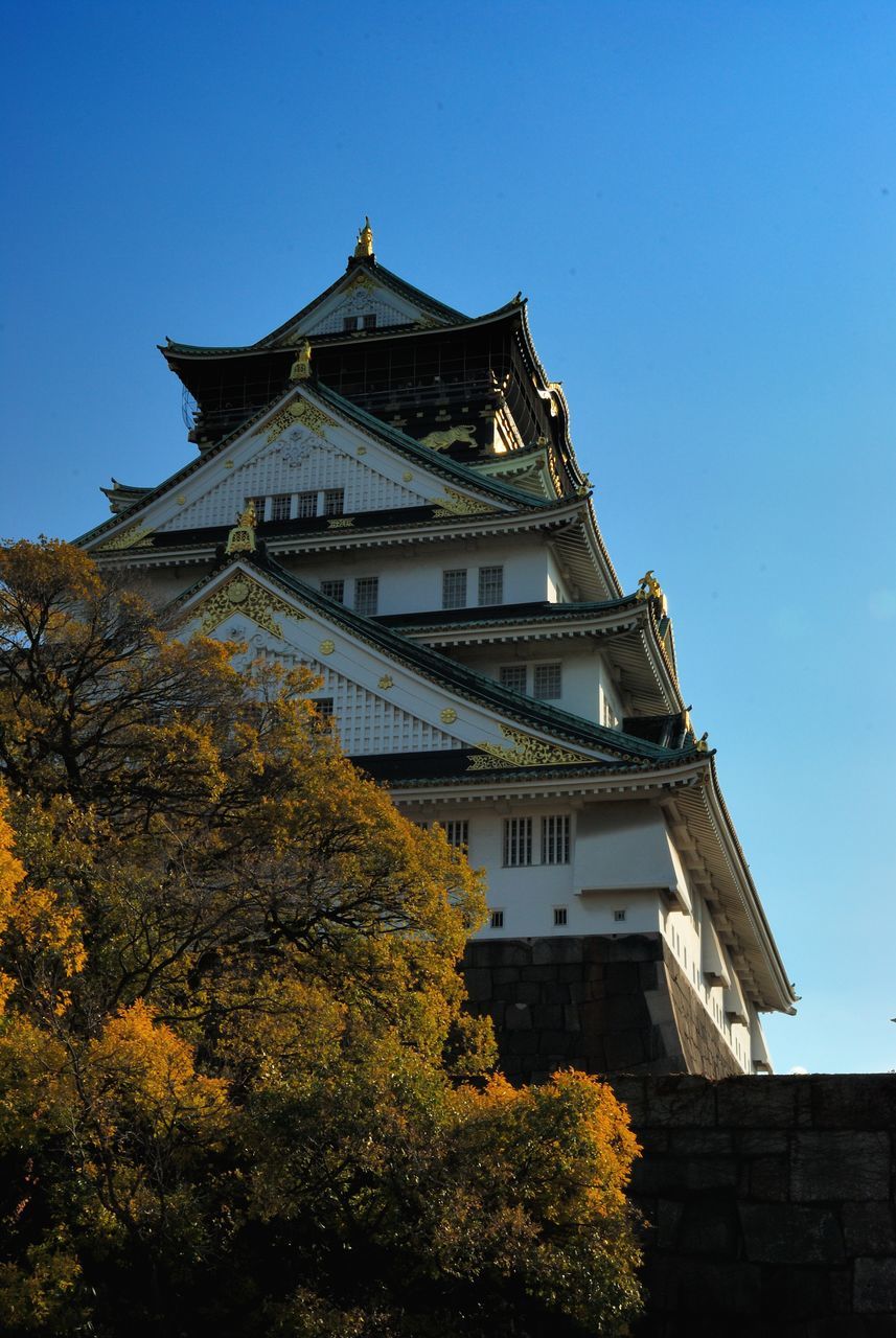 architecture, built structure, building exterior, low angle view, tree, no people, day, outdoors, place of worship, clear sky, sky, roof, nature