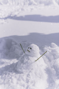 White bird on snow against sky