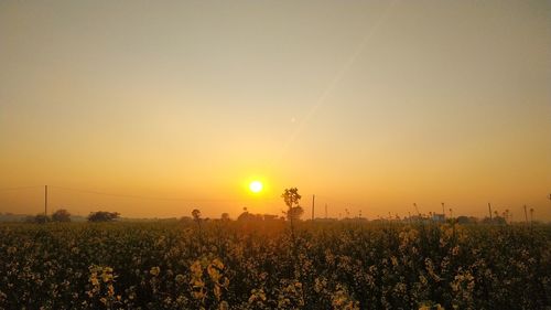 Scenic view of field against orange sky