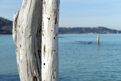 Close-up of wooden post on beach against sky