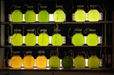 Close-up of yellow bottles in shelf