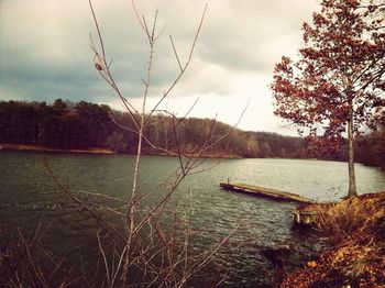 Calm lake with trees in background