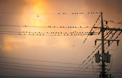 Silhouette birds on electricity pylon against sky during sunset