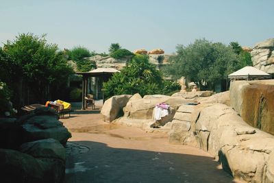 Scenic view of trees in park against sky