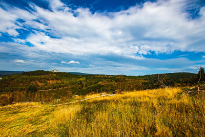 Scenic view of field against sky