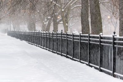 Snowfall in park