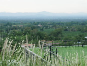 Scenic view of land against sky