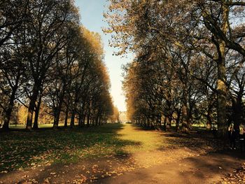 Footpath amidst trees against sky during autumn