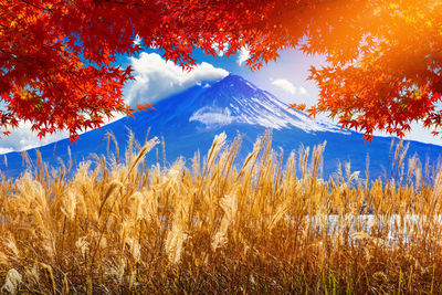 Autumn at fuji mountain in japan mount fuji blur in the background