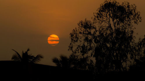 Low angle view of silhouette trees against orange sky