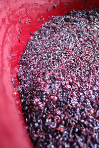 Full frame shot of red berries