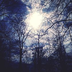 Low angle view of silhouette bare trees against sky