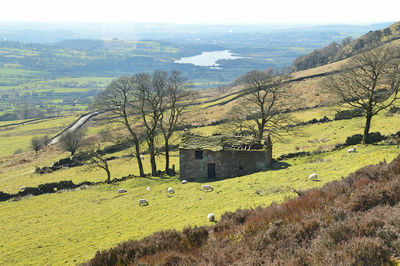 Scenic view of field by buildings against sky