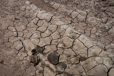 Close-up of cracked land