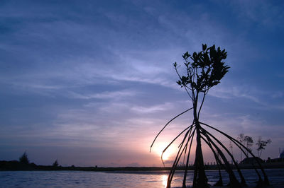 Silhouette tree by sea against sky during sunset