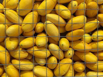 Close-up of mangos in rack