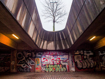 Graffiti on wall of building