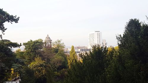 Trees in city against clear sky