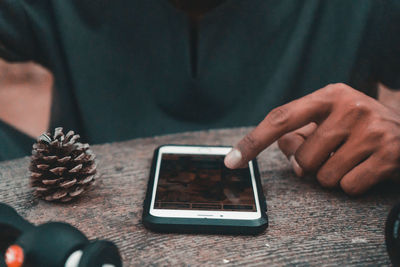 Midsection of man using mobile phone by pine cone on table