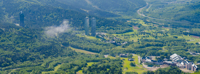 High angle view of trees on landscape