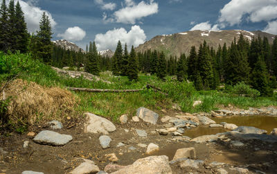 Scenic view of waterfall against sky