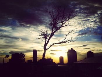 Silhouette of bare tree against cloudy sky