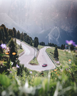 High angle view of highway amidst trees in city