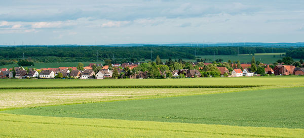 Scenic view of grassy field against sky