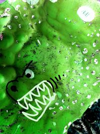 Close-up of water drops on leaf