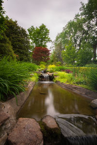 Stream flowing through rocks in forest against sky