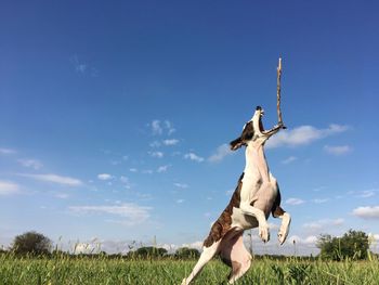 Low angle view of statue on field against sky